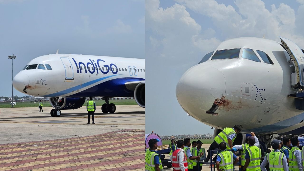 रांची में बर्ड हिट के बाद विमान की इमरजेंसी लैंडिंग, पटना से यात्रियों को लेकर आ रही फ्लाइट की इमरजेंसी लैंडिंग