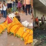 झारखंड के देवघर से आया हैरान करने वाला VIDEO, शख्स की मौत के बाद रोने लगा बंदर, शव को लगा चुमने, अर्थी के साथ पहुंचा श्मशान घाट