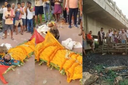 झारखंड के देवघर से आया हैरान करने वाला VIDEO, शख्स की मौत के बाद रोने लगा बंदर, शव को लगा चुमने, अर्थी के साथ पहुंचा श्मशान घाट