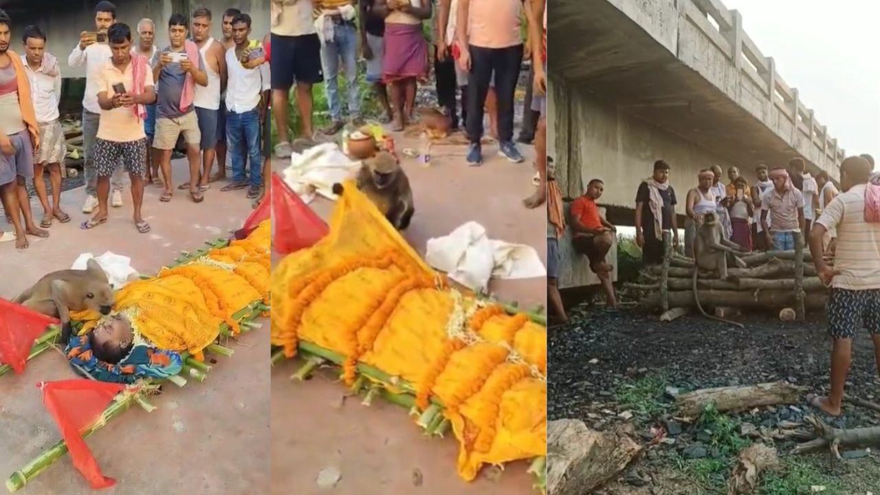 झारखंड के देवघर से आया हैरान करने वाला VIDEO, शख्स की मौत के बाद रोने लगा बंदर, शव को लगा चुमने, अर्थी के साथ पहुंचा श्मशान घाट