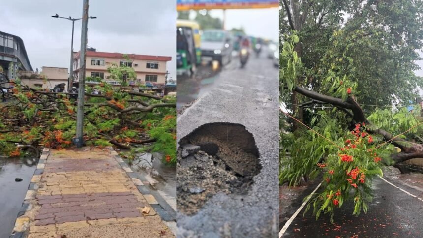 रांची में आफत की बारिश जारी, कई जगहों पर गिरे पेड़, तो कहीं हुए सड़क पर गड्ढे