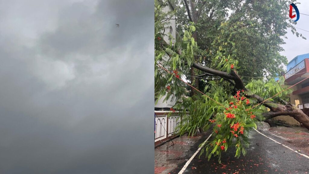 झारखंड में मानसून की शानदार एंट्री, रांची समेत 18 जिलों में बारिश, कल भारी बारिश का रेड अलर्ट