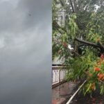 झारखंड में मानसून की शानदार एंट्री, रांची समेत 18 जिलों में बारिश, कल भारी बारिश का रेड अलर्ट