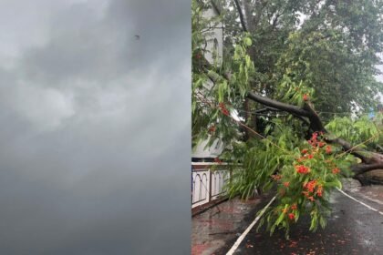 झारखंड में मानसून की शानदार एंट्री, रांची समेत 18 जिलों में बारिश, कल भारी बारिश का रेड अलर्ट