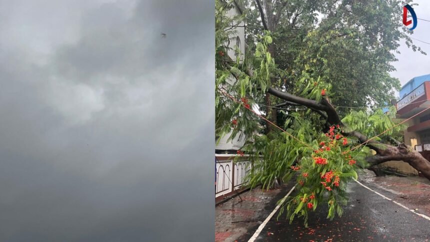 झारखंड में मानसून की शानदार एंट्री, रांची समेत 18 जिलों में बारिश, कल भारी बारिश का रेड अलर्ट