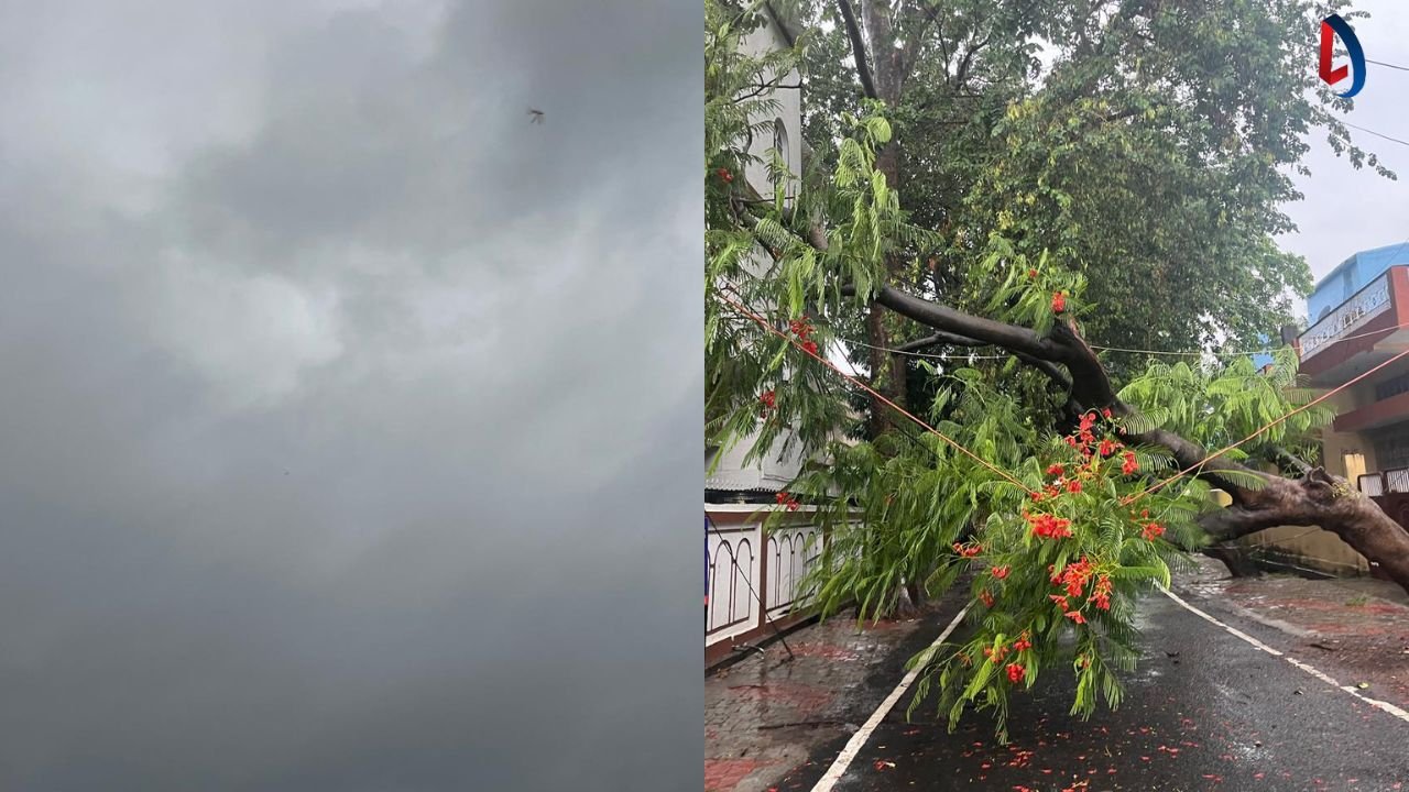 झारखंड में मानसून की शानदार एंट्री, रांची समेत 18 जिलों में बारिश, कल भारी बारिश का रेड अलर्ट