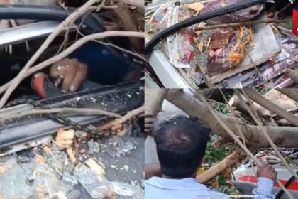 बिहार के सीवान में आंधी-बारिश का कहर, दो महिला समेत 7 लोगों की मौत