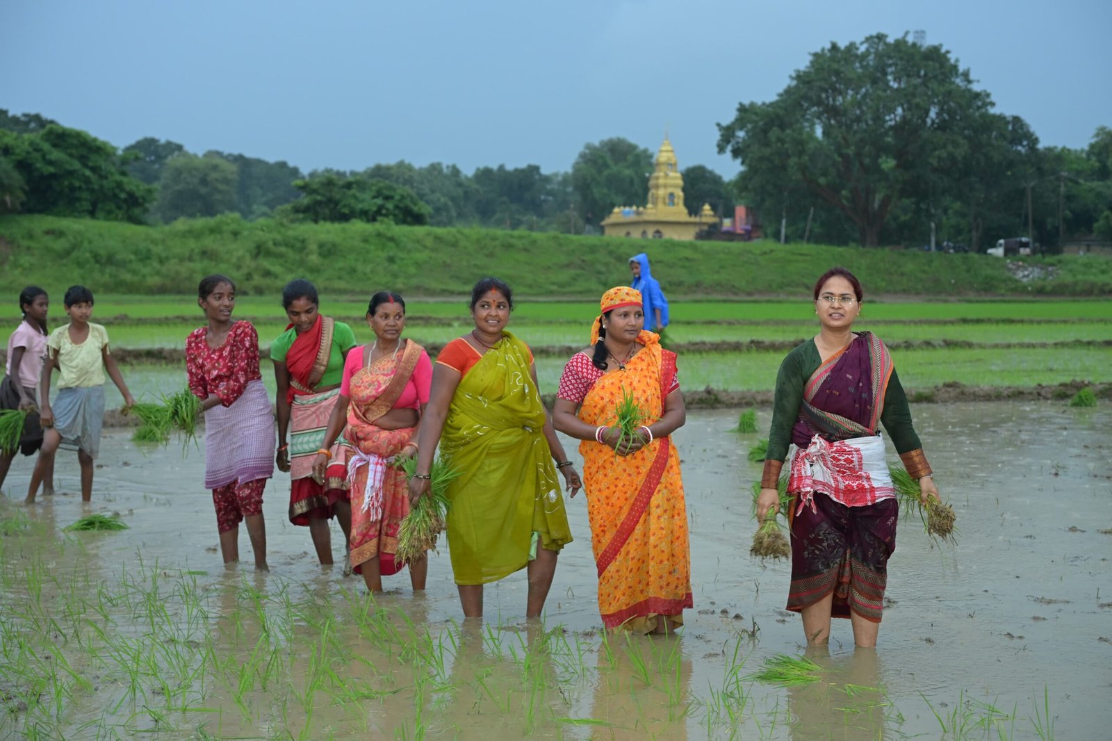 कृषि मंत्री झमाझम बारिश के बीच पहुंची खेत में, महिलाओं के साथ की धान रोपनी 3 1 14 scaled