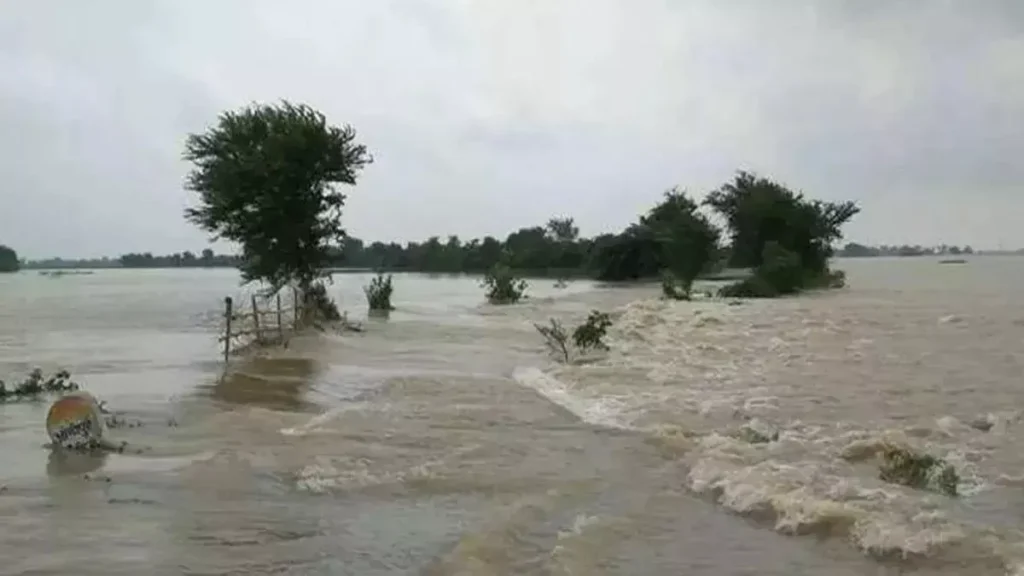 झारखंड के 5 जिलों में भारी बारिश का अलर्ट, कोल्हान में बाढ़ का खतरा, रांची-जमशेदपुर में लगातार हो रही हैं बारिश
