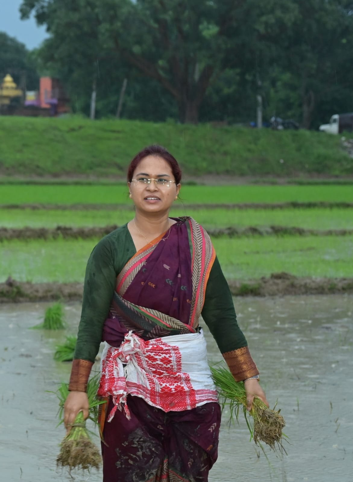 कृषि मंत्री झमाझम बारिश के बीच पहुंची खेत में, महिलाओं के साथ की धान रोपनी 2 11