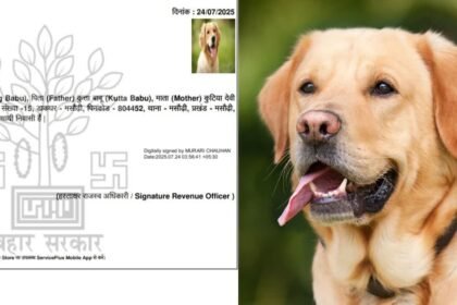 पटना में 'डॉग बाबू' का निवास प्रमाण पत्र बनाने के मामले में डीएम की कार्रवाई, एक निलंबित, दूसरा बर्खास्त