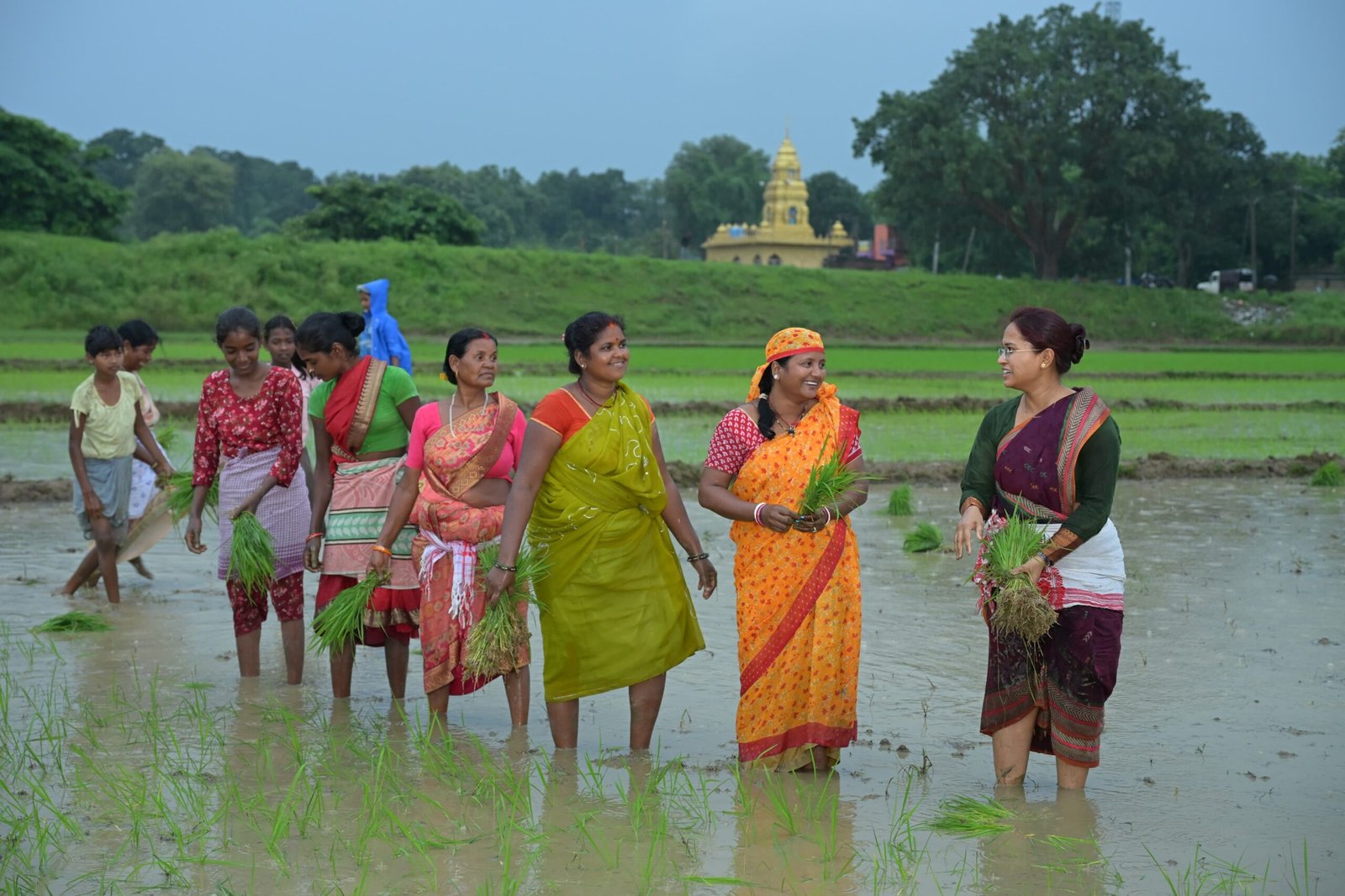 कृषि मंत्री झमाझम बारिश के बीच पहुंची खेत में, महिलाओं के साथ की धान रोपनी 5 3 11 scaled