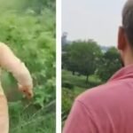 बिहार में महिला CO के साथ बदसलूकी और लूटपाट, पुरूष दोस्त के साथ गई थी वॉटरफॉल घूमने