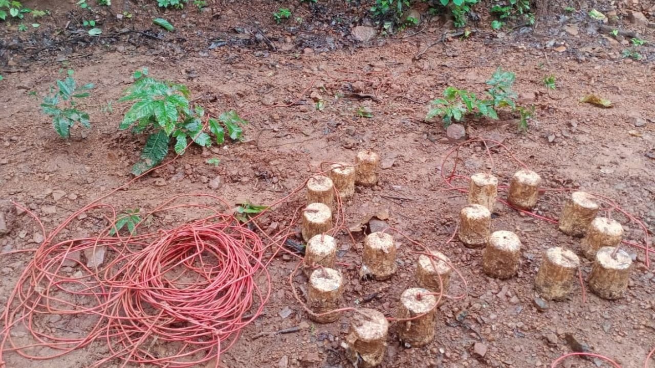 चाईबासा में नक्सलियों की बड़ी साजिश नाकाम, सुरक्षाबलों को सर्च ऑपरेशन के दौरान मिला 18 IED बम