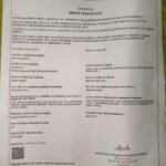 WhatsApp Image 2025 07 22 at 21.51.25