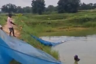 WhatsApp Image 2025 07 27 at 12.36.14