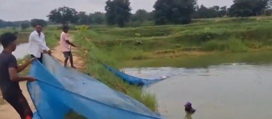 WhatsApp Image 2025 07 27 at 12.36.14