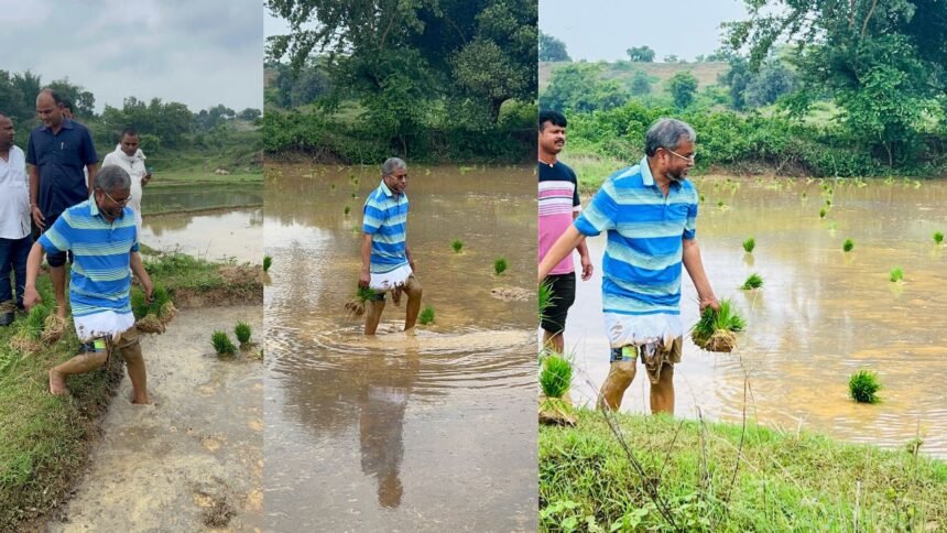 बाबूलाल मरांडी अपने खेत में धान रोपनी करते आये नजर, सोशल मीडिया पर शेयर की तस्वीर