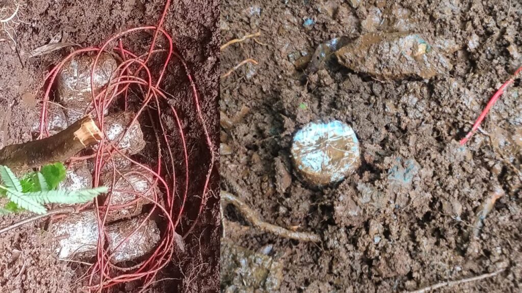 चाईबासा में सुरक्षाबलों को मिली कामयाबी, 16 IED को किया बरामद