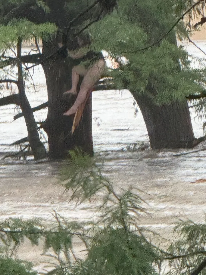 flooding home center point girl 1007774040