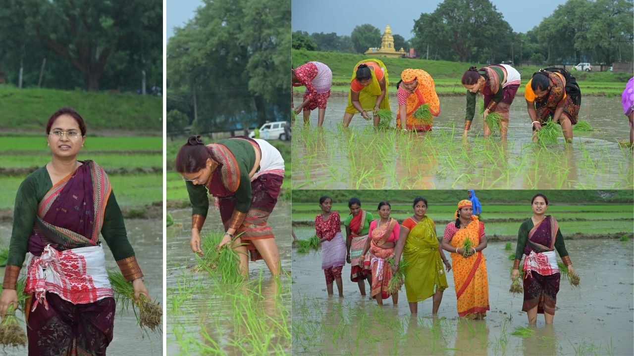 कृषि मंत्री झमाझम बारिश के बीच पहुंची खेत में, महिलाओं के साथ की धान रोपनी