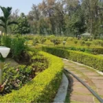 दामोदर घाटी निगम में अनियमितता का चौकाने वाला मामला, पहले बनाया गया पार्क फिर निकाला गया टेंडर