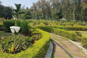 दामोदर घाटी निगम में अनियमितता का चौकाने वाला मामला, पहले बनाया गया पार्क फिर निकाला गया टेंडर