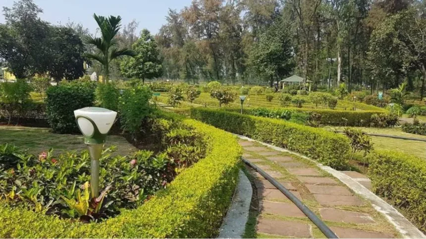 दामोदर घाटी निगम में अनियमितता का चौकाने वाला मामला, पहले बनाया गया पार्क फिर निकाला गया टेंडर