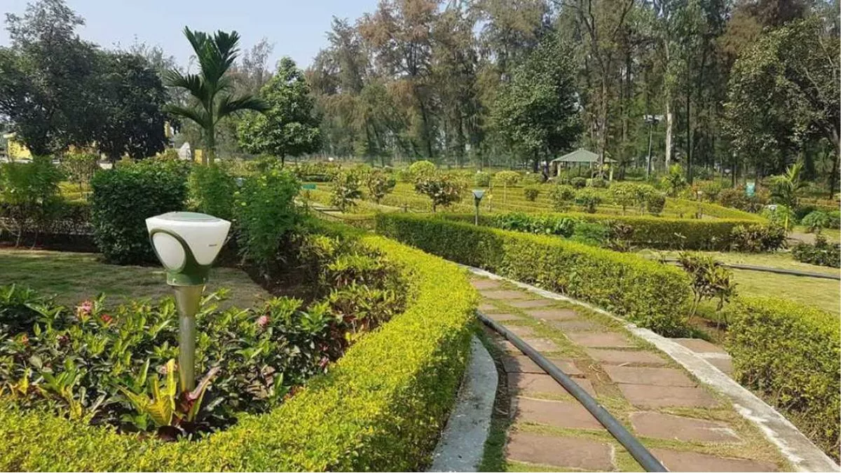 दामोदर घाटी निगम में अनियमितता का चौकाने वाला मामला, पहले बनाया गया पार्क फिर निकाला गया टेंडर