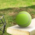 लोहरदगा के छह खिलाड़ियों का झारखंड टीम में चयन,दिल्ली में चमकाएंगे टेनिस बॉल क्रिकेट में सितारे