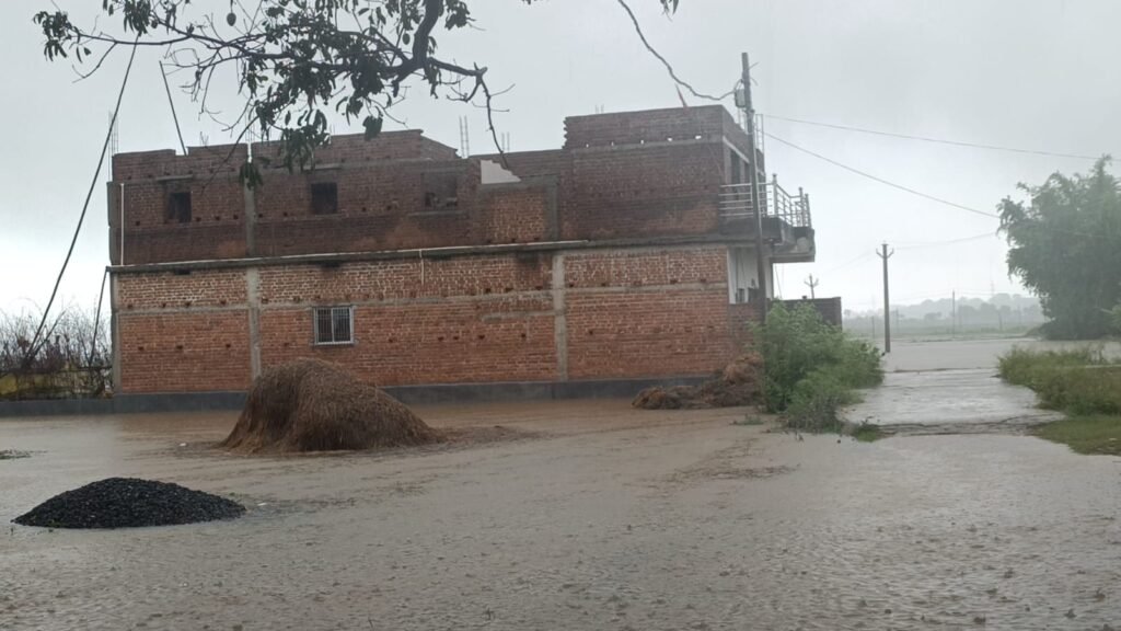 WhatsApp Image 2025 06 19 at 16.21.19