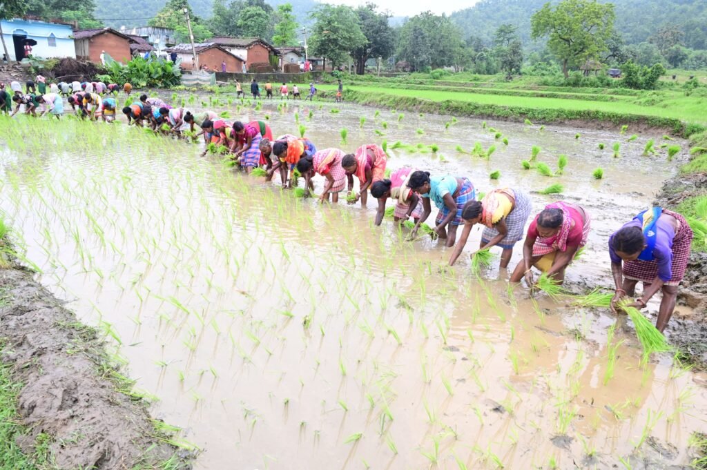 WhatsApp Image 2025 08 08 at 17.39.48