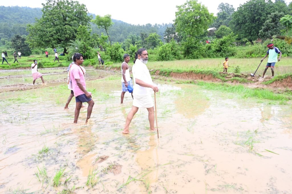 WhatsApp Image 2025 08 08 at 17.39.50 1