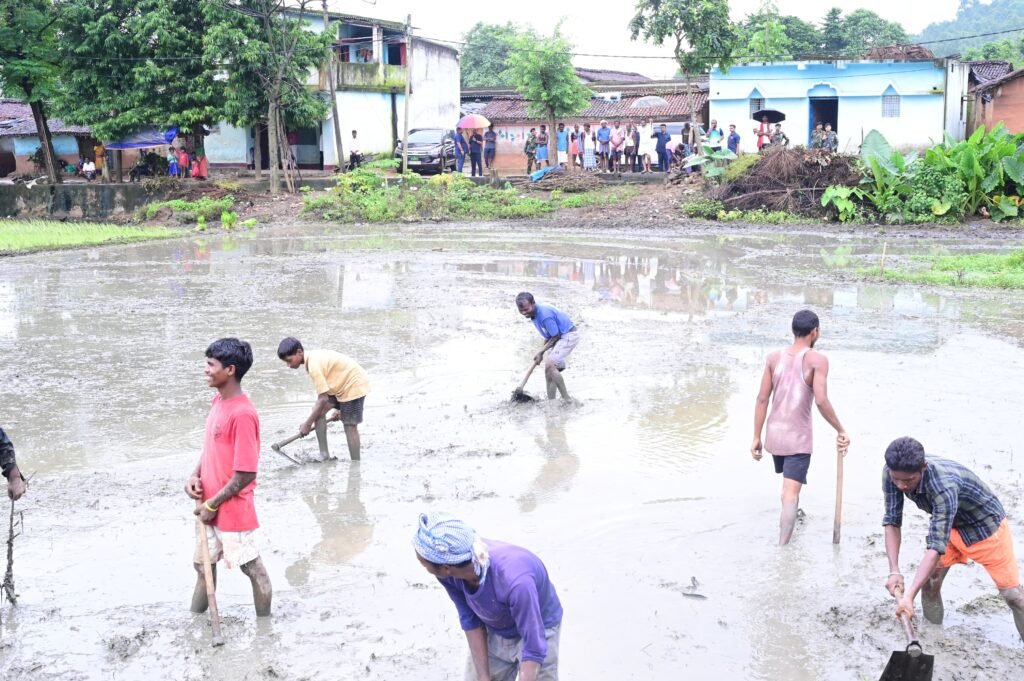 WhatsApp Image 2025 08 08 at 17.39.52