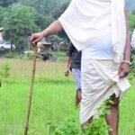 WhatsApp Image 2025 08 08 at 17.39.54 1