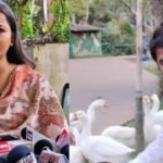 अंबा प्रसाद के भाई अंकित राज ने 204 माइनिंग चालान से ढोया 1294 ट्रिप बालू, ED की जांच में हुआ खुलासा