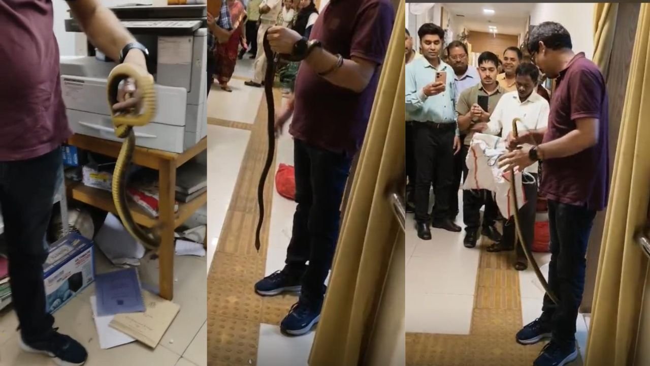 रांची के प्रोजेक्ट भवन में सांप मिलने से मचा हड़कंप, कर्मचारियों के बीच मची अफरातफरी