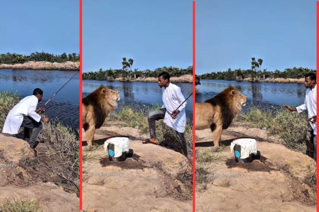 young-man-and-lion