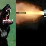 कुत्ते के भौंकने को लेकर शुरू हुआ विवाद, युवक की गोली मारकर पटना में कर दी गई हत्या