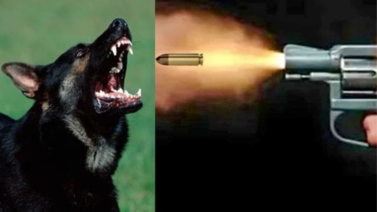 कुत्ते के भौंकने को लेकर शुरू हुआ विवाद, युवक की गोली मारकर पटना में कर दी गई हत्या