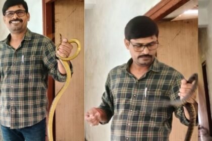 रांची के डोरंडा थाने में सांप मिलने से हड़कंप, ऐसे किया गया रेस्क्यू