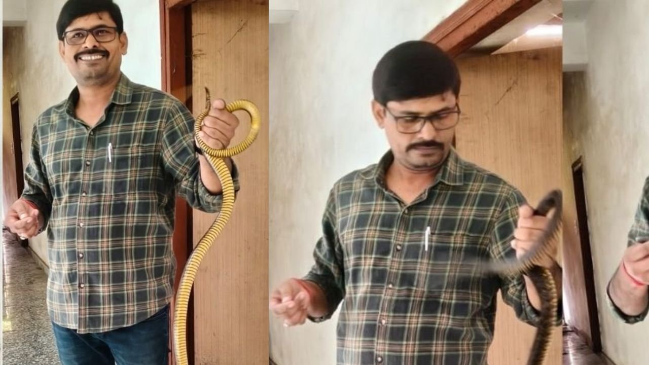 रांची के डोरंडा थाने में सांप मिलने से हड़कंप, ऐसे किया गया रेस्क्यू