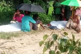 गुमला में पीपल पेड़ की डाली बाइक सवार पर गिरी, हादसे में जीजा-साले की मौत