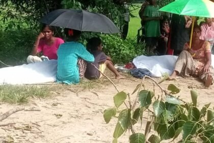 गुमला में पीपल पेड़ की डाली बाइक सवार पर गिरी, हादसे में जीजा-साले की मौत