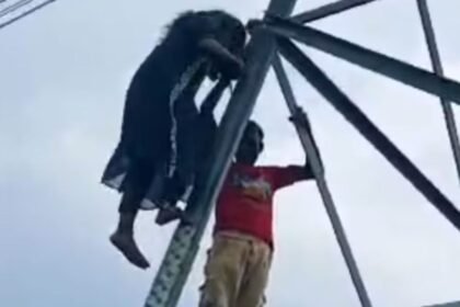 बॉयफ्रेंड से लव मैरेज के लिए हाईटेंशन टावर पर चढ़ी लड़की, बिहार में हुआ हाईवोल्टेज ड्रामा