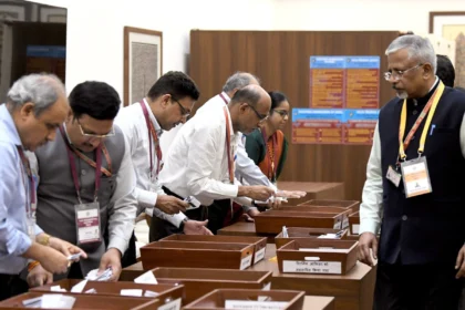 vice president election