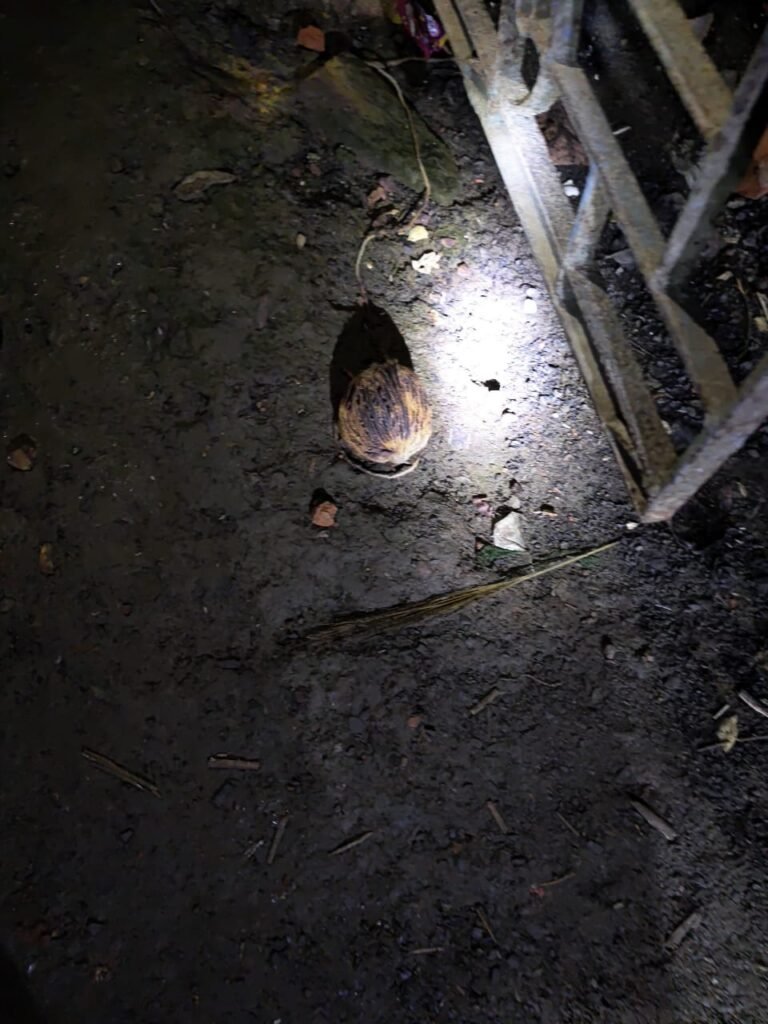 jh pak 01 bom photo dry 10024 24092025212026 2409f 1758729026 53