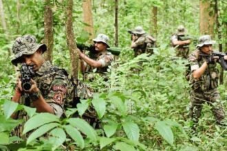 चाईबासा में सुरक्षाबलों और नक्सलियों के बीच मुठभेड़,मारा गया 10 लाख का इनामी नक्सली 19 छत्तीसगढ़ में सुरक्षाबलों को मिली बड़ी कामयाबी, नारायणपुर में 40-40 लाख का दो इनामी नक्सली ढेर