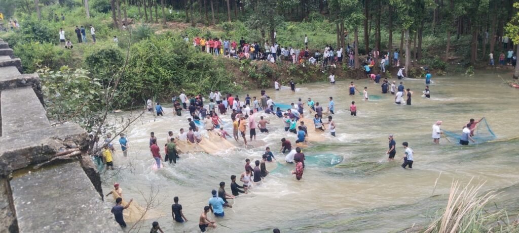 WhatsApp Image 2025 10 02 at 1 17 44 PM