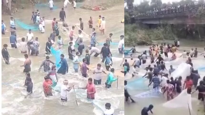 हजारीबाग में भारी बारिश से छड़वा डैम के एक गेट में पानी का रिसाव, भारी संख्या में लोग मछली पकड़ने उतरे, प्रशासन ने भीड़ हटाने में जुटा